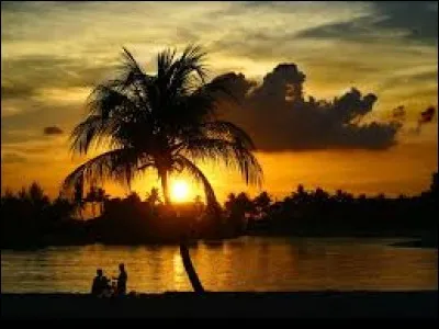 Quel animal vous tuera sur la berge si vous n'êtes pas tué par le crocodile ?