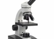 Quiz Les éléments au microscope