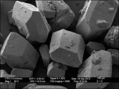 Quel est cet élément au microscope ?