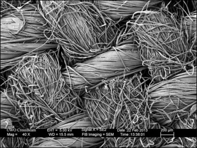 Quel est cet élément au microscope ?