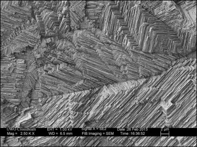 Quel est cet élément au microscope ?