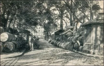 Quelle est donc cette maladie, cette "fièvre de Bercy", entendue dans "l'Ancêtre" ?