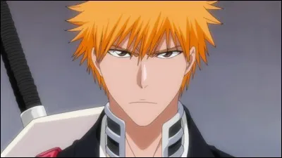 Quel est le nom de famille d'Ichigo dans Bleach ?