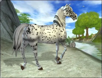 A partir de quel niveau peut-on aller à Sudhoven ?