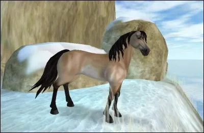 Combien de shillings jorvikois peut-on avoir au maximum ?