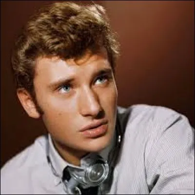 Qui a écrit la chanson "Retiens la nuit" pour Johnny Hallyday ?