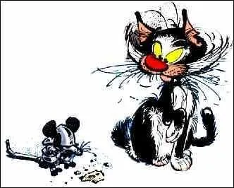 A qui appartient ce chat ?