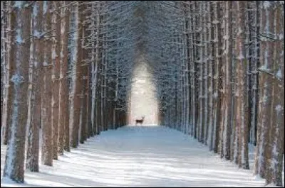 "L'hiver sera froid" avec ___ .