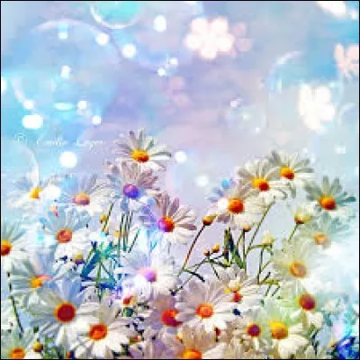 "Les Jolies Fleurs" avec ___ .