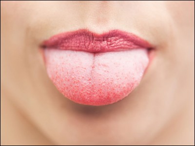 Où trouve-t-on la langue dans notre corps ?