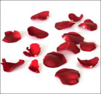 Complétez : __ pétale.