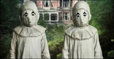 Quelle est la particularité des jumeaux ?