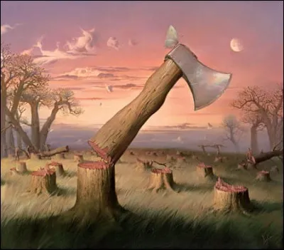 Qui est l'auteur de "découpage séquoia" ?