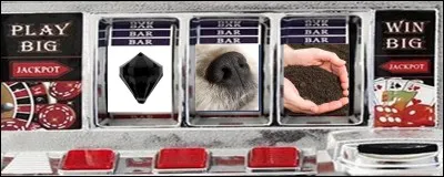 Quelle est la bonne réponse pour 50 jetons ?