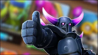 Qui se cache derrière le P.E.K.K.A ?