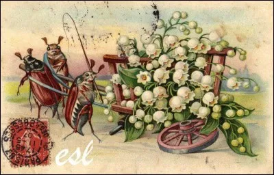 Comment ne roule pas la plateforme munie de deux ou quatre roues servant au transport ?