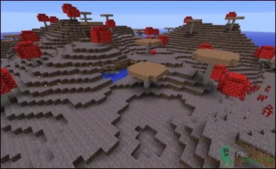 Comment s'appelle ce biome ?