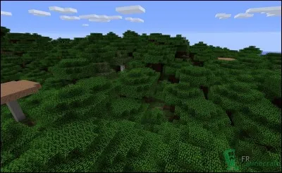 Comment s'appelle ce biome ?