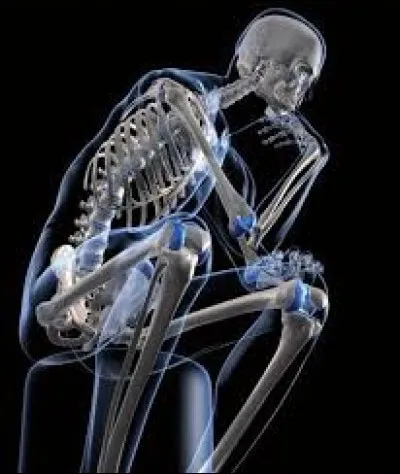 Dans quelle partie du corps se trouve l'os appelé "le rocher" ?