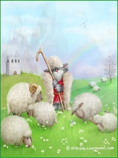 Qui est le mâle reproducteur de la brebis ?