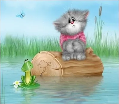 Quel est le nom de la grenouille verte ?