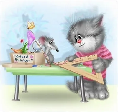 Si deux droites parallèles sont coupées par une sécante :