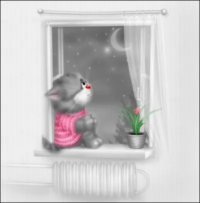 Quelle est l'étoile la plus brillante de la constellation de la Petite Ourse ?