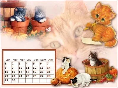 Quel mois précède décembre ?