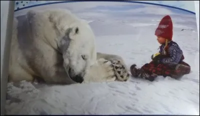 Dans l'hémisphère nord, quelle saison commence le 21 ou 22 décembre ?