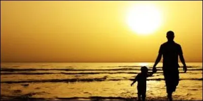 Une fois à bord, Robinson se rendit compte que la vie d'aventures lui manquait. Il sauta et revint à la nage. Puis, il entendit un bruit de buisson. Cette fois ce n'était pas le chien mais...