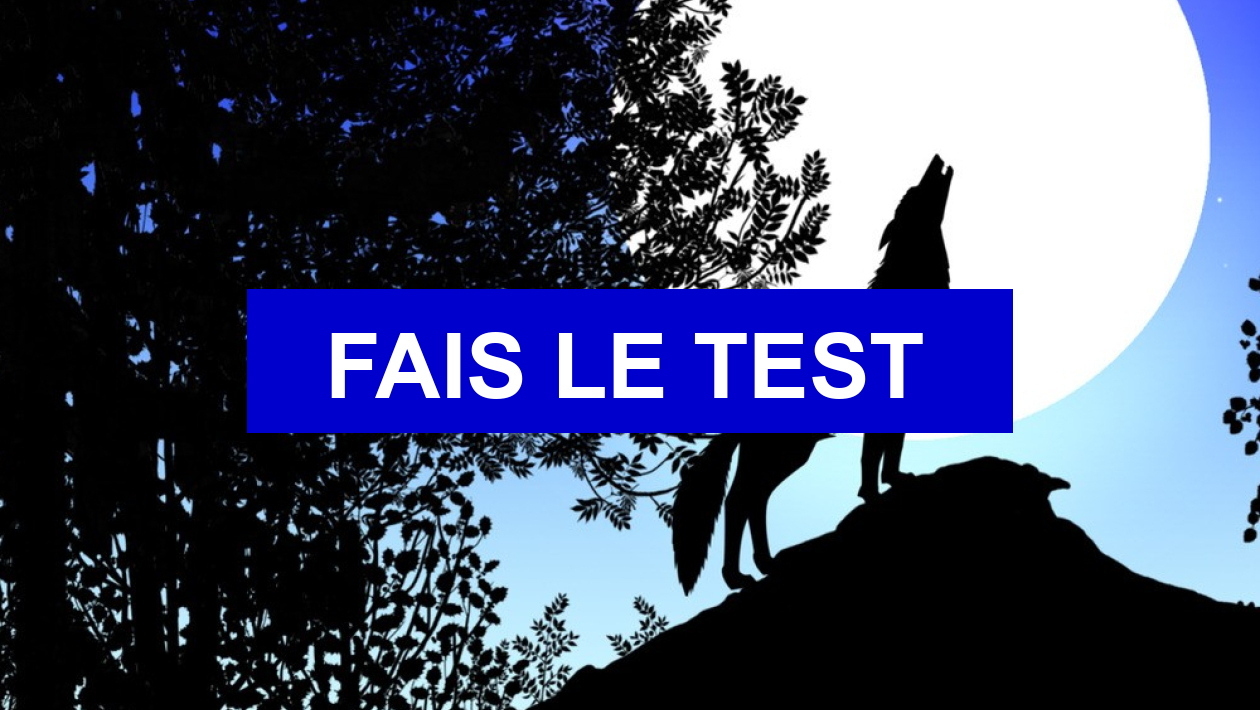 Test Pour Savoir Si On Est Débile Test de personnalité Quelle créature de la nuit es-tu ?
