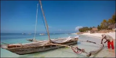 "Z" comme "Zanzibar". Dans quel océan est situé cet archipel ?