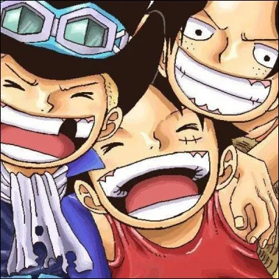 Dans quel ordre sont les initiales du drapeau pirate de Luffy, Sabo et Ace ?