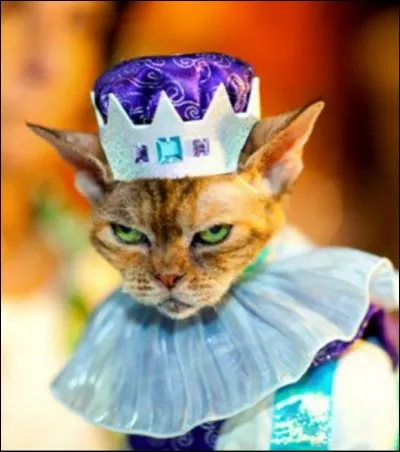 Quel roi avait une peur viscérale et incontrôlée des chats, à tel point qu'il lui arrivait de s'évanouir à leur simple vue ?