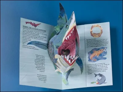 Quelle autre appellation donne-t-on à certains requins, dont le "bouclé" et celui apparaissant dans "Les Enfants du capitaine Grant" ?