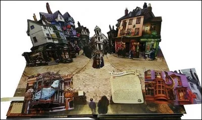 Ses amis sont Ron Weasley et Hermione Granger.