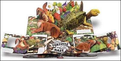 Que voit-on dans ce pop-up ?