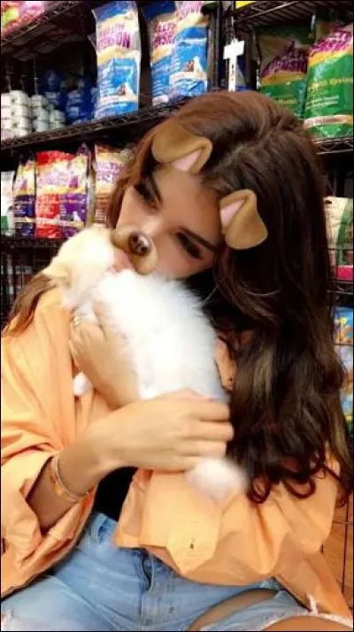 Quel métier Madison exerce-t-elle ?