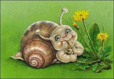 Que vois-tu sur l'image ?