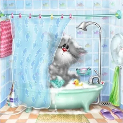 Où se trouve le chat ?