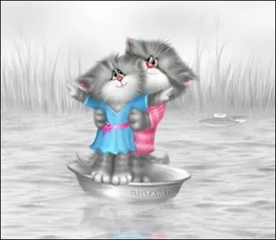 Comment est habillée la petite chatte ?