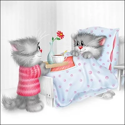 Que lui apporte le chat, en plus du petit déjeuner ?