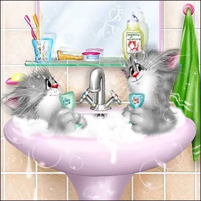 Où sont les chats ?