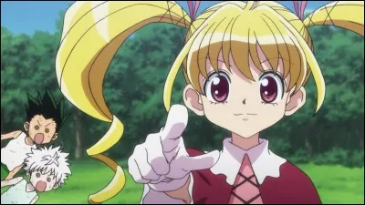 Comment s'appelle le maître de Gon et Kirua ?