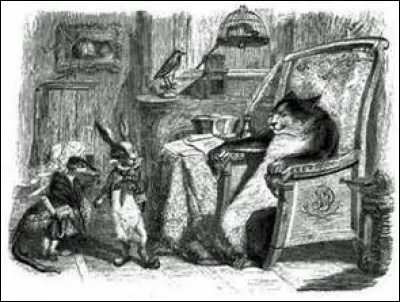 Déjà chez Rabelais dans son Cinquième Livre, on pouvait "finir chez les chats fourrés". Brassens en reprend le même sens dans "Celui qui a mal tourné". C'est-à-dire ?