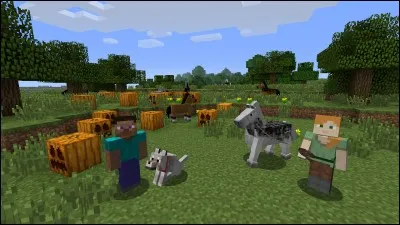 "Minecraft" est aussi un jeu qui n'est pas sur écran, lequel ?
