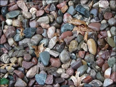 Attention, cet animal est très dur à trouver !