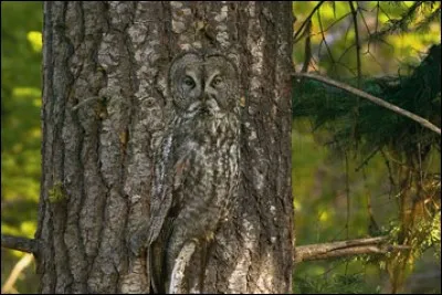 Dur ... Très dur...