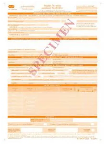 Quelle est la couleur principale de la carte Vitale en France ?