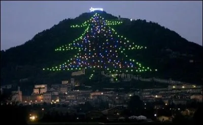Ce sapin, enregistré comme le plus grand du monde dans le Guinness Book des records, se trouve en Italie.